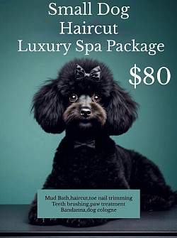 Luxury Package